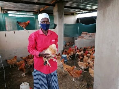 MIRS focuses on improving the livelihoods and income of income though poultry production activities.